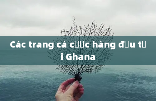 Các trang cá cược hàng đầu tại Ghana