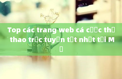 Top các trang web cá cược thể thao trực tuyến tốt nhất tại Mỹ