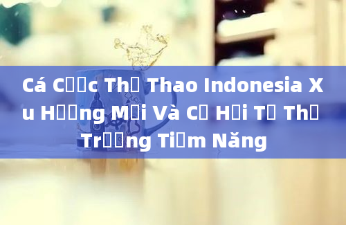 Cá Cược Thể Thao Indonesia Xu Hướng Mới Và Cơ Hội Từ Thị Trường Tiềm Năng