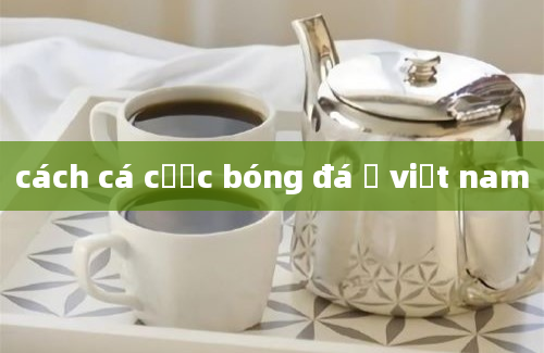 cách cá cược bóng đá ở việt nam