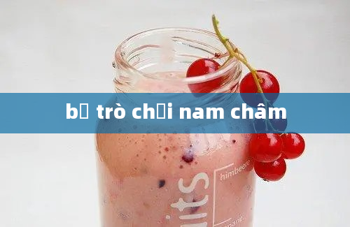 bộ trò chơi nam châm