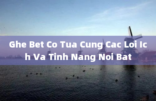 Ghe Bet Co Tua Cung Cac Loi Ich Va Tinh Nang Noi Bat