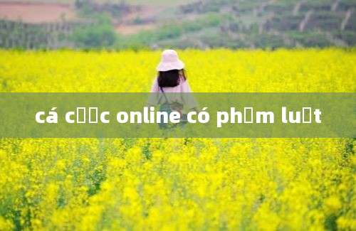 cá cược online có phạm luật