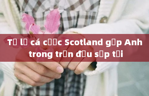 Tỷ lệ cá cược Scotland gặp Anh trong trận đấu sắp tới