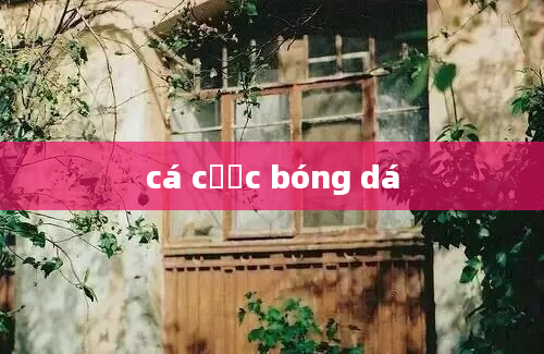 cá cược bóng dá