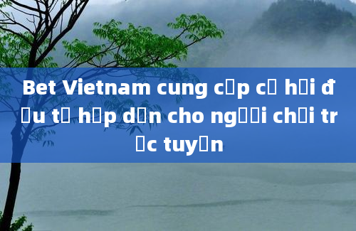 Bet Vietnam cung cấp cơ hội đầu tư hấp dẫn cho người chơi trực tuyến