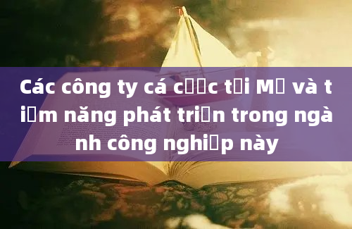 Các công ty cá cược tại Mỹ và tiềm năng phát triển trong ngành công nghiệp này