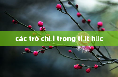 các trò chơi trong tiết học