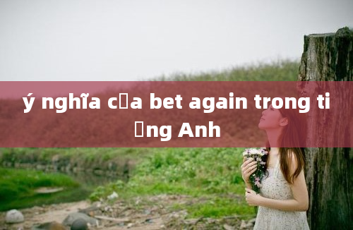 ý nghĩa của bet again trong tiếng Anh