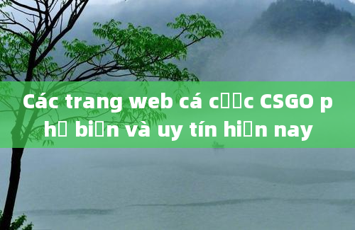 Các trang web cá cược CSGO phổ biến và uy tín hiện nay