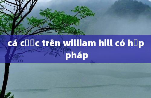 cá cược trên william hill có hợp pháp