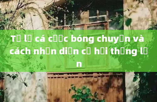 Tỷ lệ cá cược bóng chuyền và cách nhận diện cơ hội thắng lớn