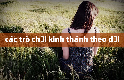 các trò chơi kinh thánh theo đội