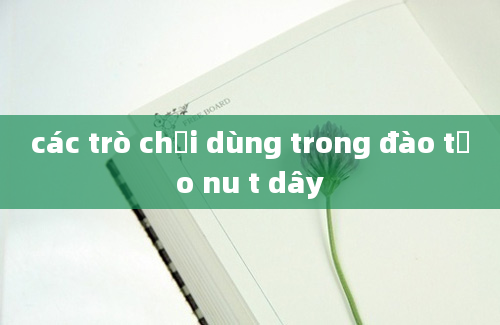 các trò chơi dùng trong đào tạo nu t dây