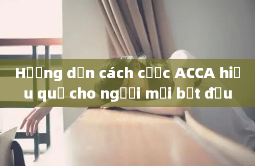 Hướng dẫn cách cược ACCA hiệu quả cho người mới bắt đầu