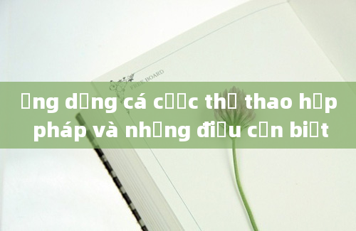 Ứng dụng cá cược thể thao hợp pháp và những điều cần biết