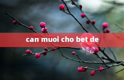 can muoi cho bet de