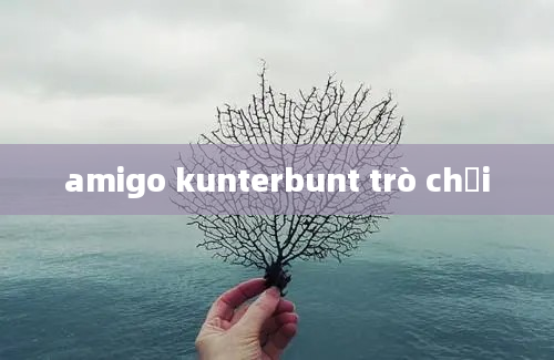 amigo kunterbunt trò chơi