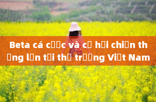 Beta cá cược và cơ hội chiến thắng lớn tại thị trường Việt Nam