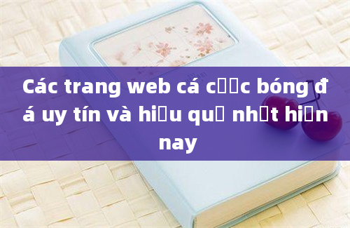 Các trang web cá cược bóng đá uy tín và hiệu quả nhất hiện nay