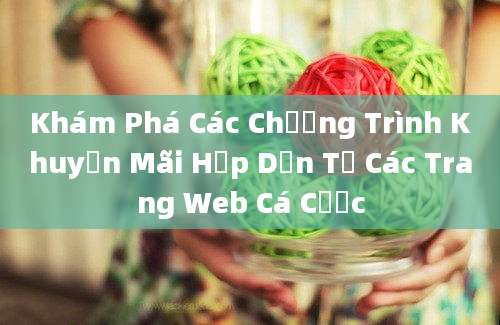 Khám Phá Các Chương Trình Khuyến Mãi Hấp Dẫn Từ Các Trang Web Cá Cược